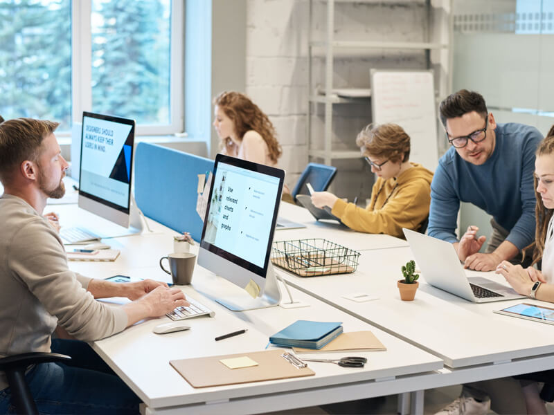 Web Development Services services